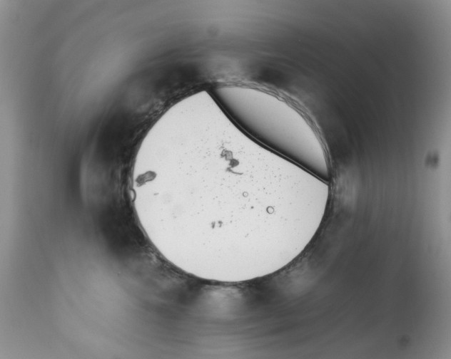 X0000112490572200909281136