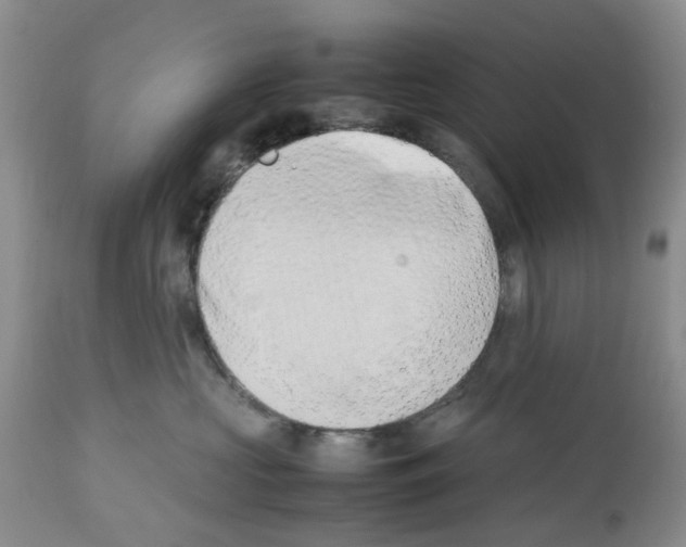 X0000112490573200909281136