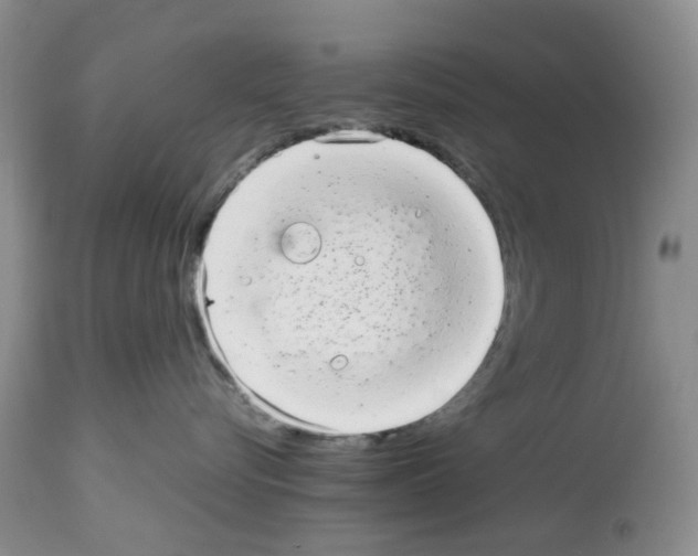 X0000112490576200909281136