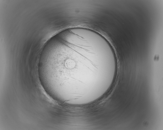 X0000112490577200909281135