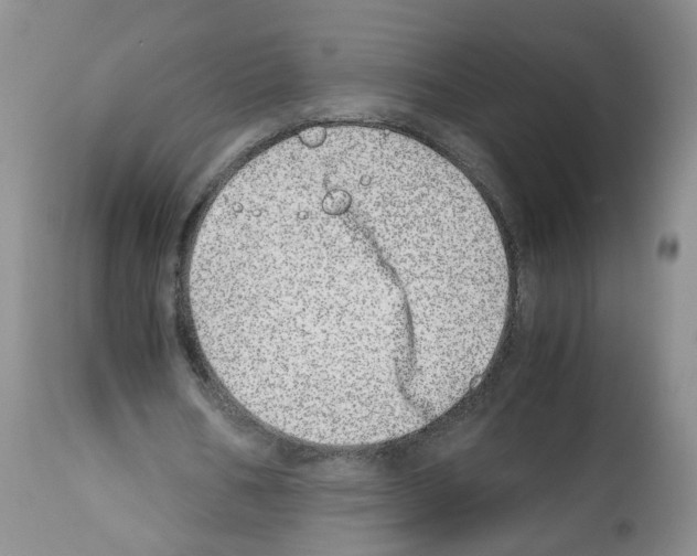 X0000112490578200909281135