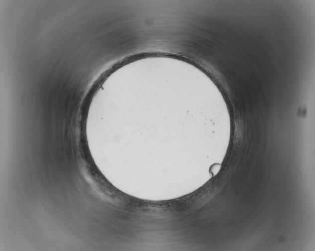 X0000112490580200909281135