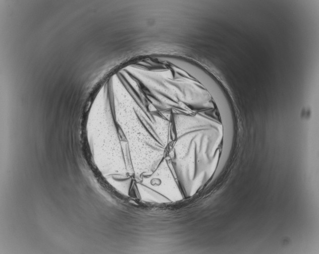 X0000112490581200909281135