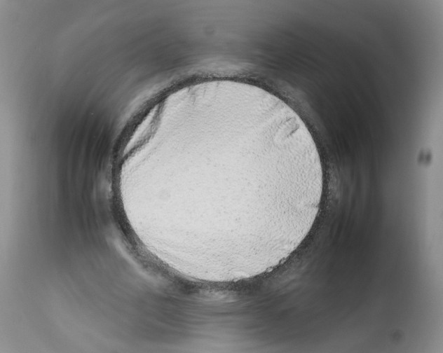 X0000112490582200909281135