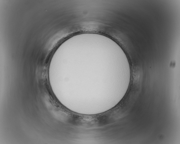 X0000112490583200909281135