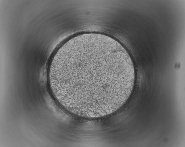 X0000112490584200909281135