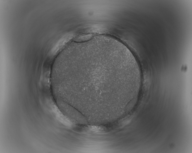 X0000112490585200909281135