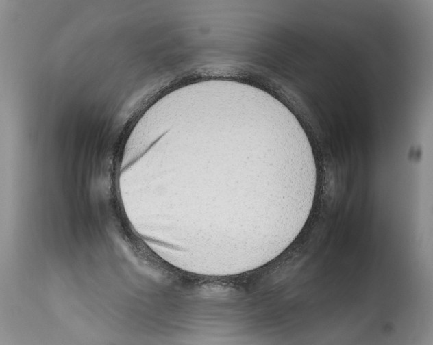 X0000112490586200909281135