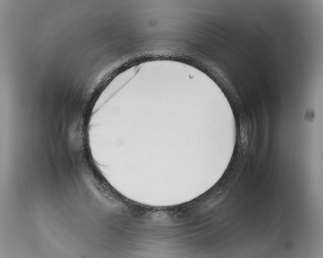 X0000112490588200909281135