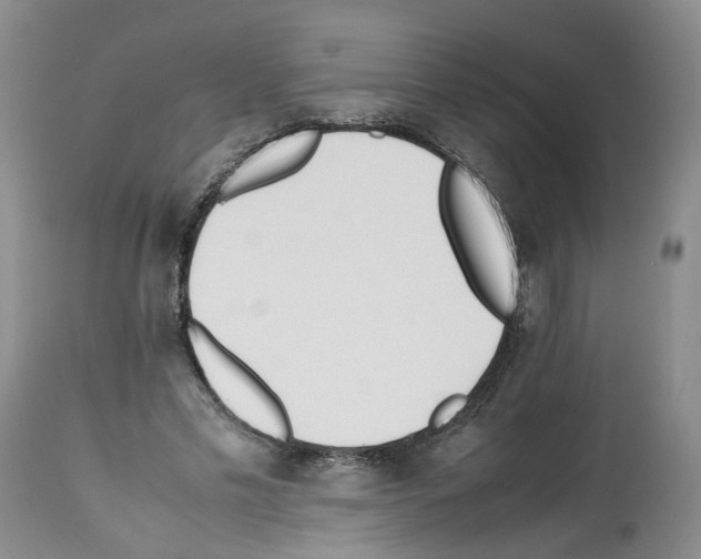 X0000112490589200909281135