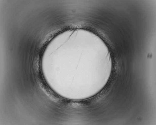 X0000112490590200909281135