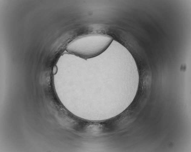 X0000112490595200909281135