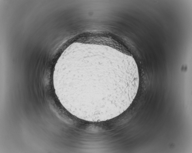 X0000112490596200909281135