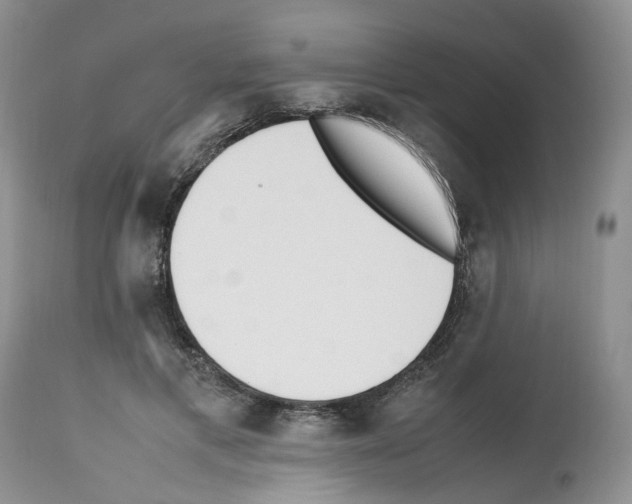 X0000112490597200909281135