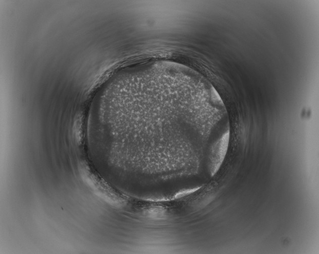 X0000112490600200909281135