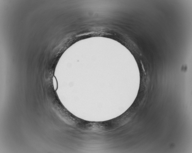 X0000112490601200909281135