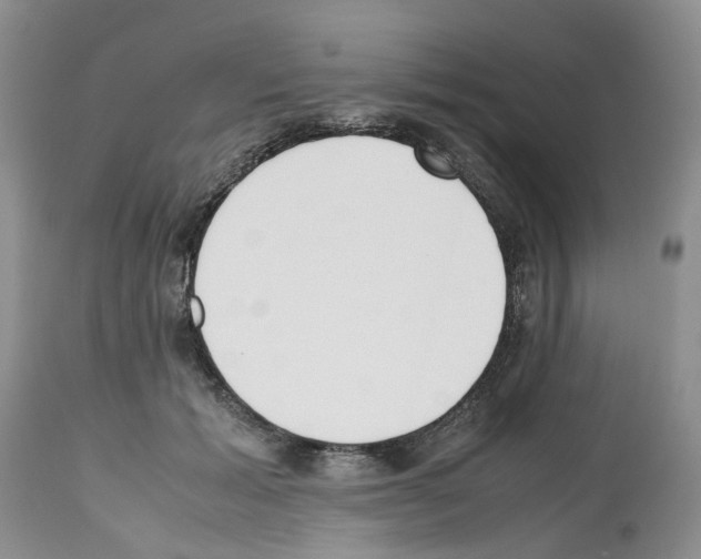 X0000112490605200909281134