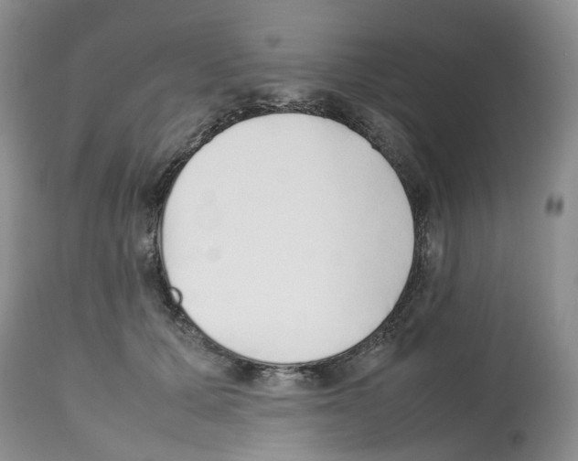 X0000112490607200909281134