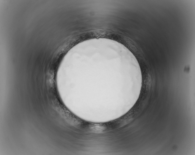X0000112490610200909281134