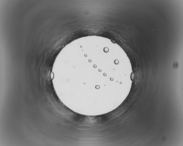X0000112490613200909281134