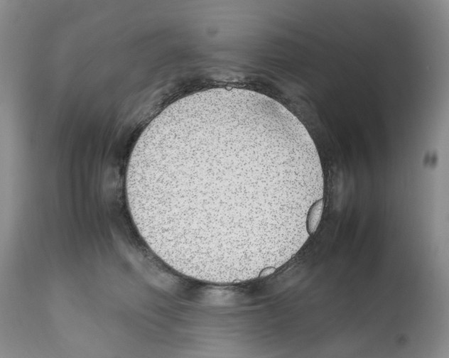 X0000112490614200909281134