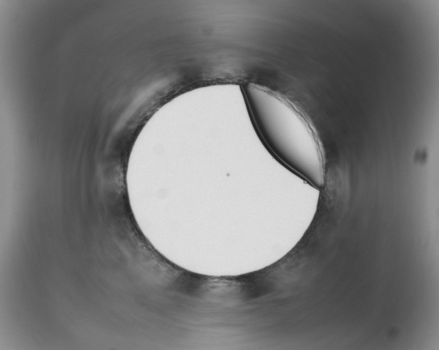 X0000112490617200909281134