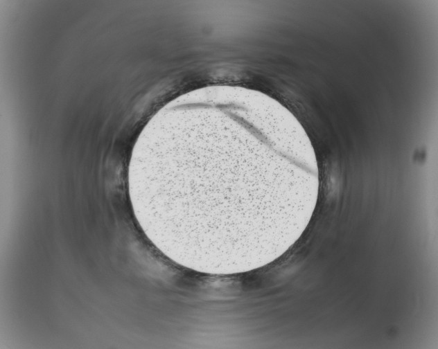 X0000112490619200909281134