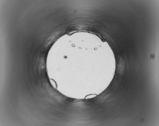 X0000112490620200909281134