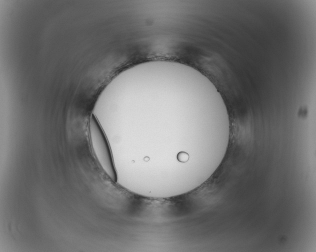 X0000112490621200909281134