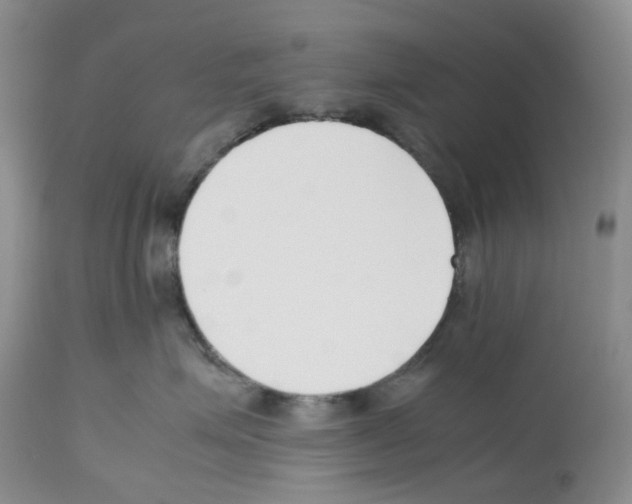 X0000112490623200909281134