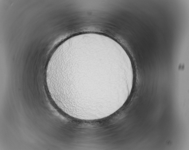 X0000112490625200909281133