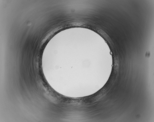X0000112490626200909281133