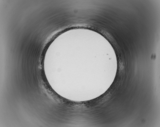 X0000112490628200909281133