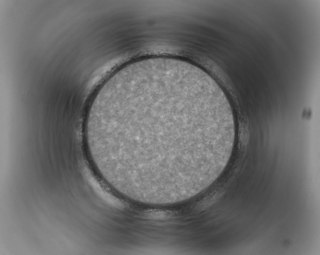 X0000112490629200909281133