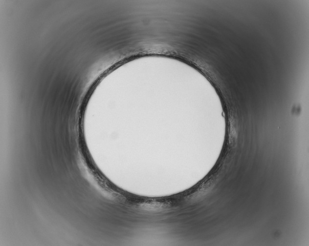 X0000112490630200909281133