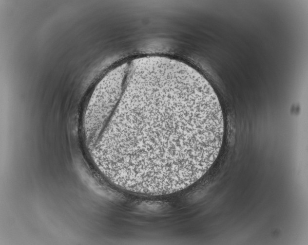 X0000112490631200909281133