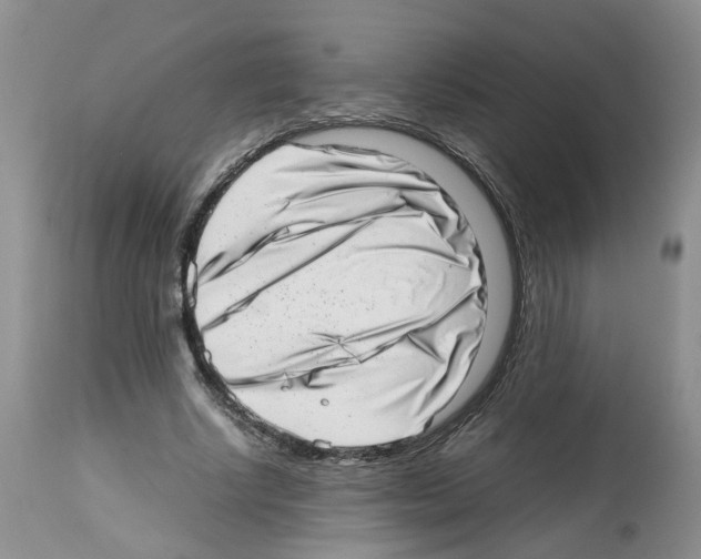 X0000112490634200909281134