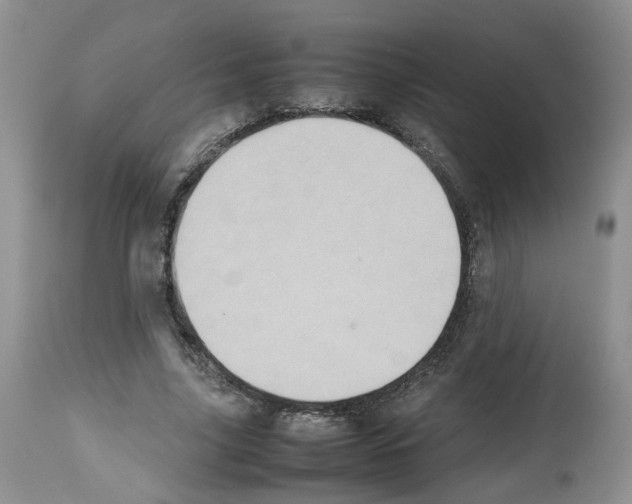 X0000112490635200909281134