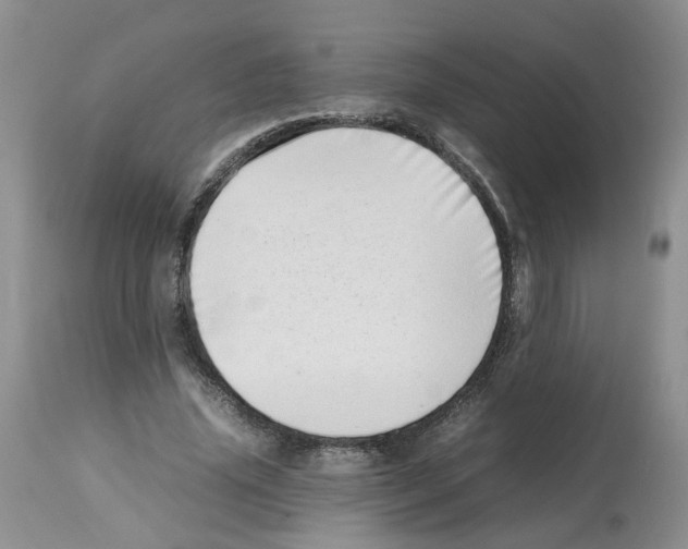 X0000112490636200909281134