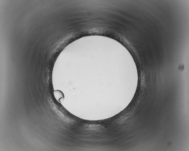 X0000112490637200909281134