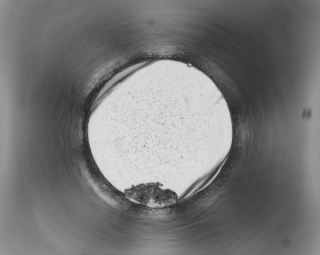 X0000112490638200909281134