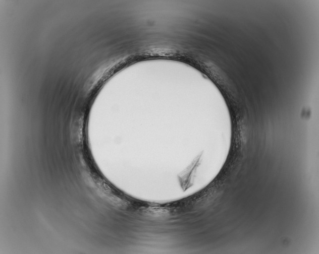 X0000112490640200909281134