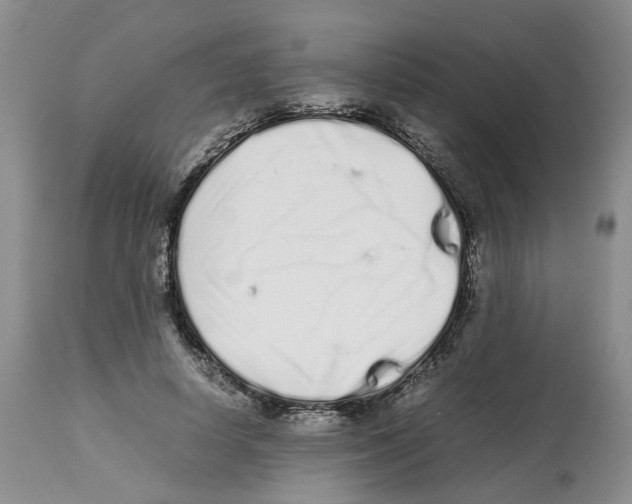 X0000112490642200909281134