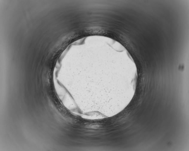 X0000112490643200909281134