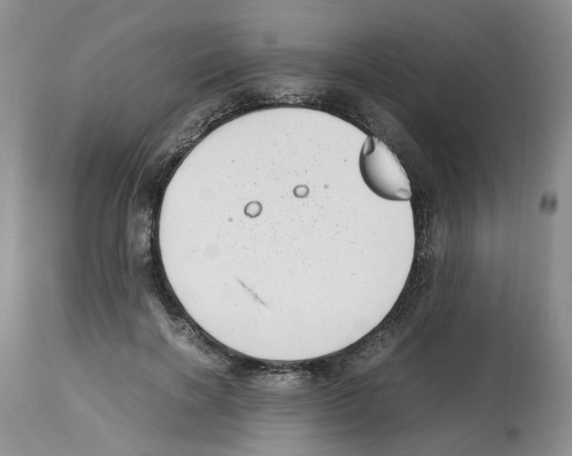 X0000112490646200909281134