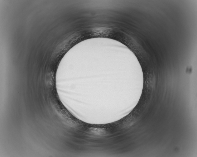 X0000112490649200909281134