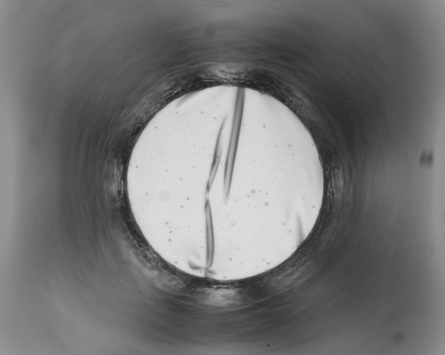 X0000112490651200909281134