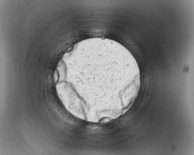 X0000112490655200909281134