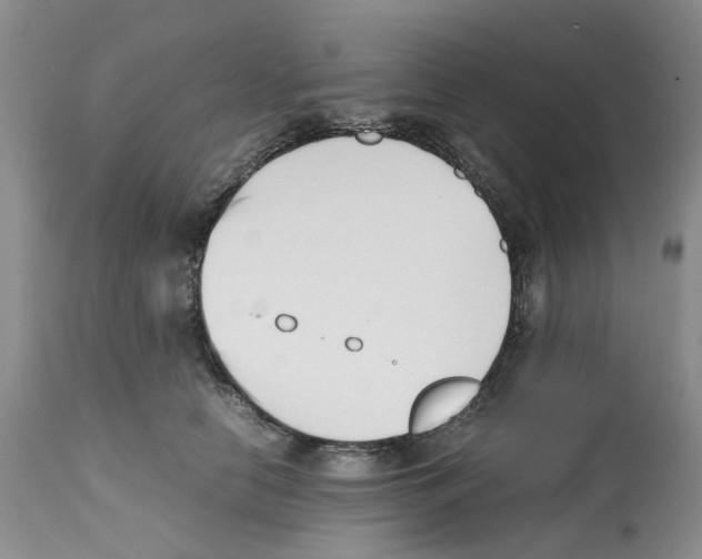 X0000112490658200909281134