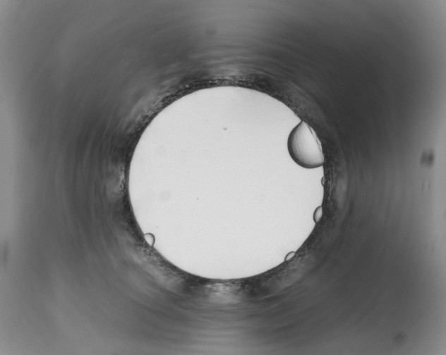 X0000112490660200909281134